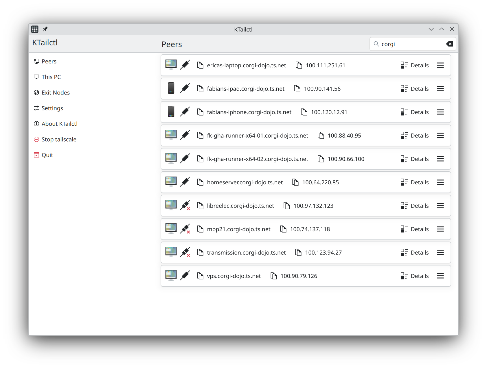 Screenshot of the main window of KTailctl showing a list of Tailscale peers